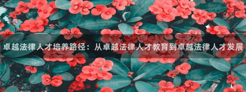 新宝5如何注册登录