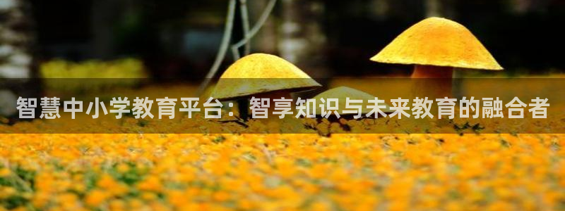 新宝m2O5O5O