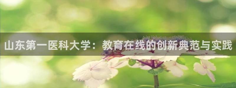 新宝5如何下载