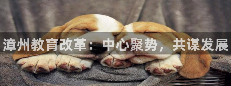 新宝5注册流程
