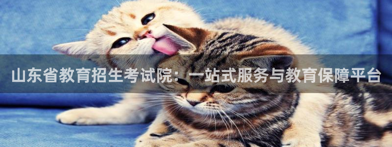 新宝5分彩