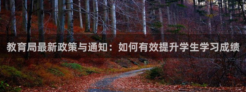 新宝5彩票娱乐平台
