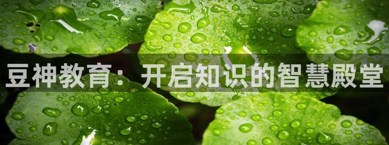 新宝5电脑