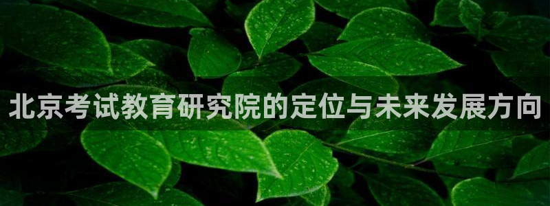 新宝5娱乐代理
