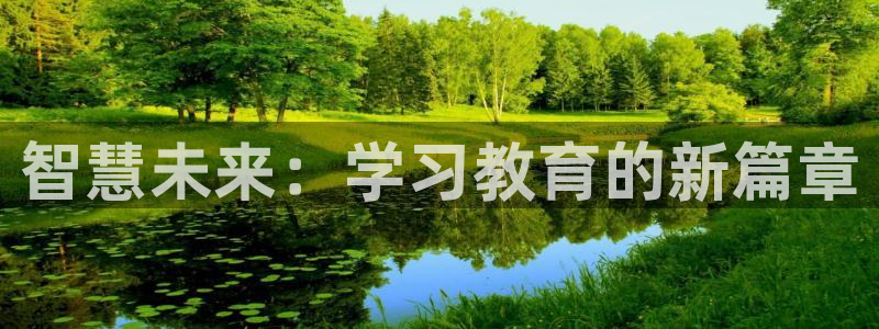 新宝5日