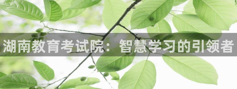 新宝5分彩