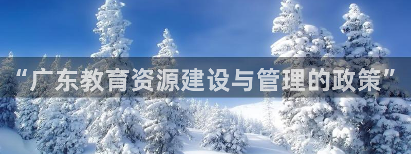 新宝5公司