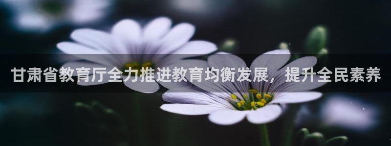 新宝5娱乐方