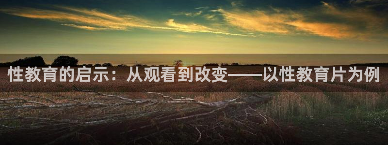 新宝5彩票平台登陆
