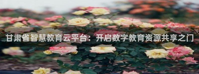 新宝5总代