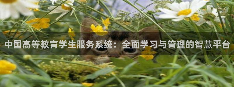 新宝5平台登陆