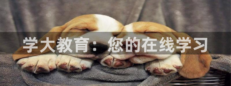 新宝5现在还能玩吗