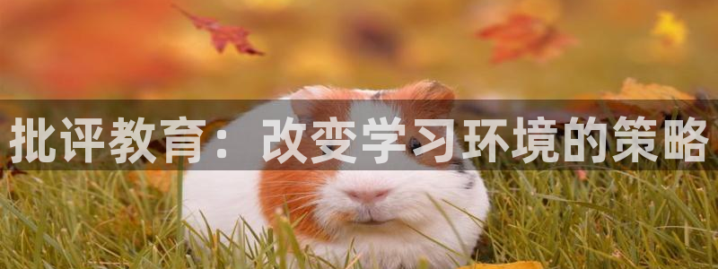 新宝5怎么下载到桌面