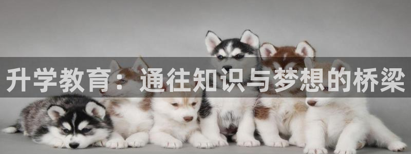 新宝5苹果手机下载