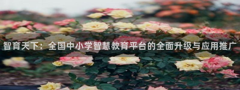 新宝h2O5O5O