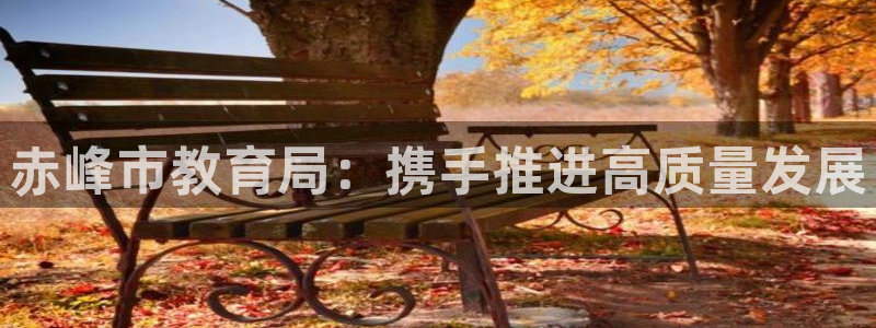 新宝5app手机下载