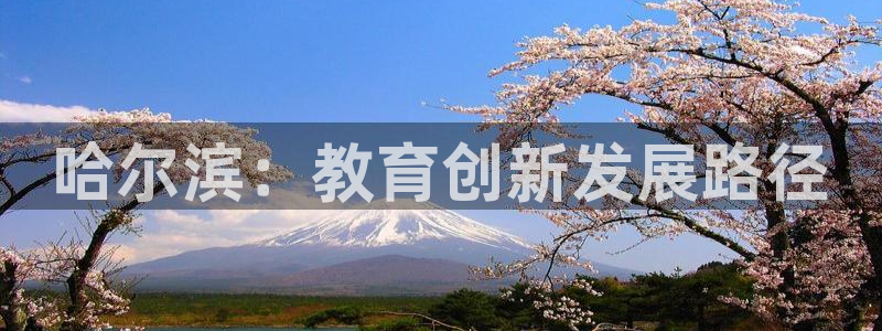 新宝5源码