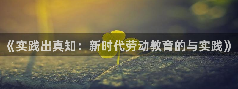新宝5登陆地址