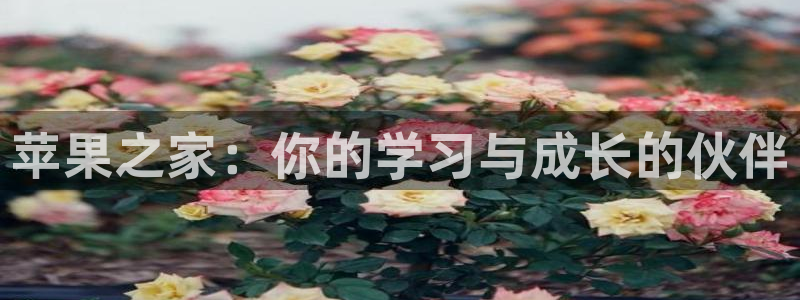 新宝5怎么下载到桌面