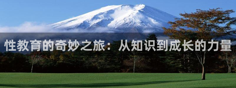 新宝5彩票平台登陆