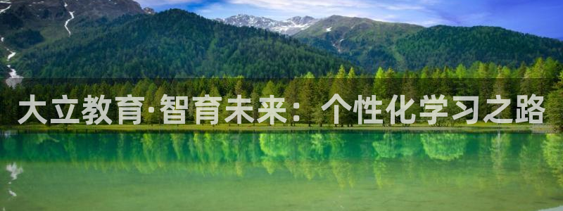 新宝5app手机下载