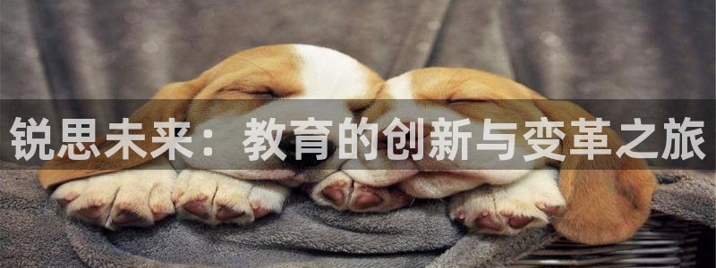 新宝5怎么下载到桌面