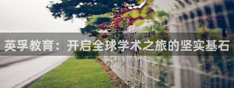 新宝5招商