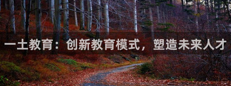 新宝5彩票是正规平台吗