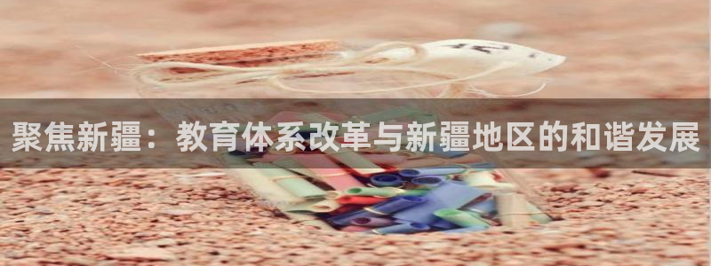 新宝5是什么样子的