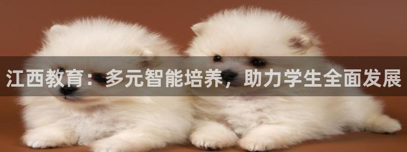 菲律宾新宝5老板