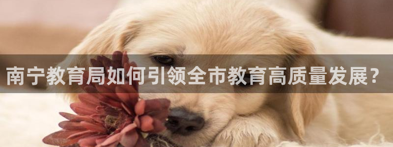 新宝股东张听2 5 5