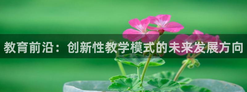 新宝堂新会陈皮5年