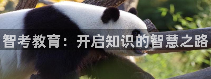 新宝5下载 迅雷下载