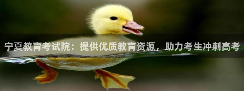 新宝5寂创33300散