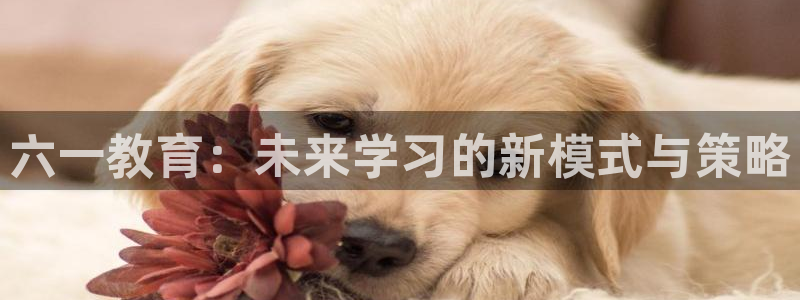 新宝5怎么下载到桌面