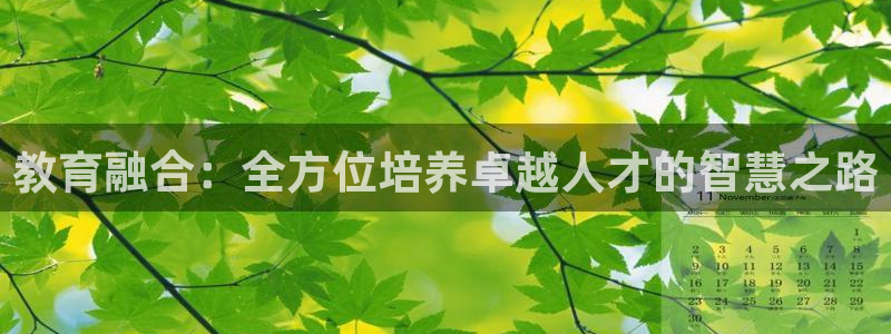 新宝5源码