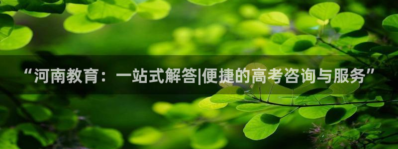 新宝5如何下载