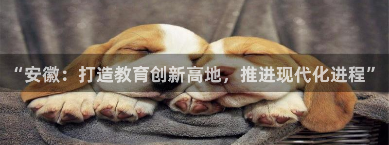 新宝5娱乐招商