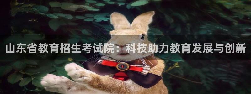 新宝5后