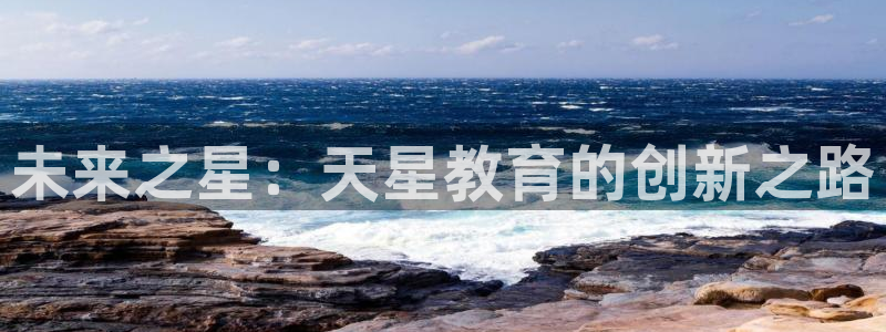 新宝5代理