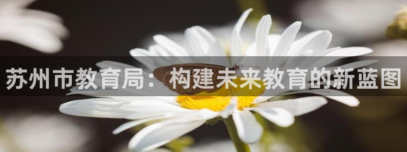 新宝5娱乐都